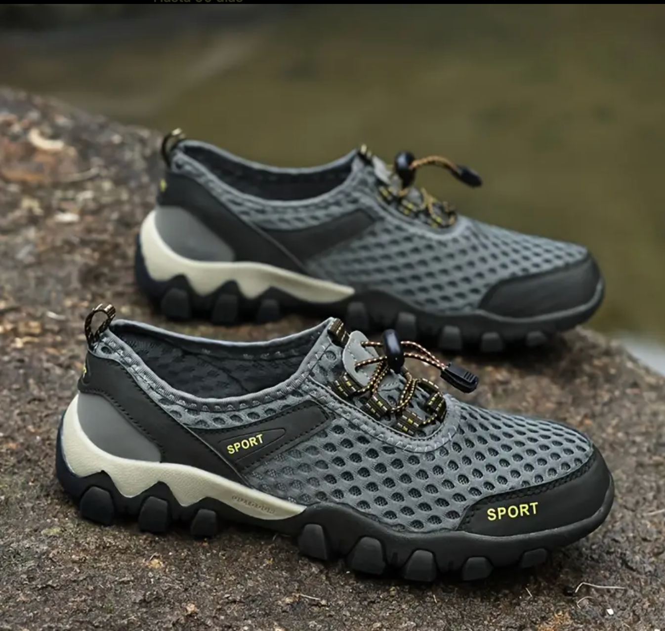 Tenis Caballero Modernos Terra Sport